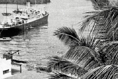 img-2_historia-5
