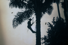 img-5_historia-5